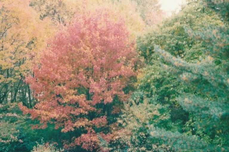 Postscript from the Author